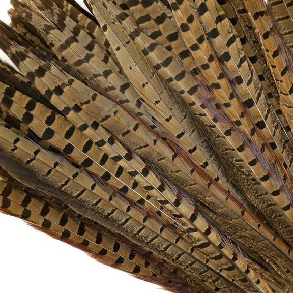 ZUCKER® 10 PC/PKG RINGNECK PHEASANT TAILS 14-16" - NATURAL