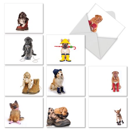 M2980TYG THESE BOOTS ARE MADE FOR PUPPIES' 10 Assorted Thank You Cards Featuring Adorable Puppies Sitting Inside Various Shoes and Boots, with Envelopes by The Best Card