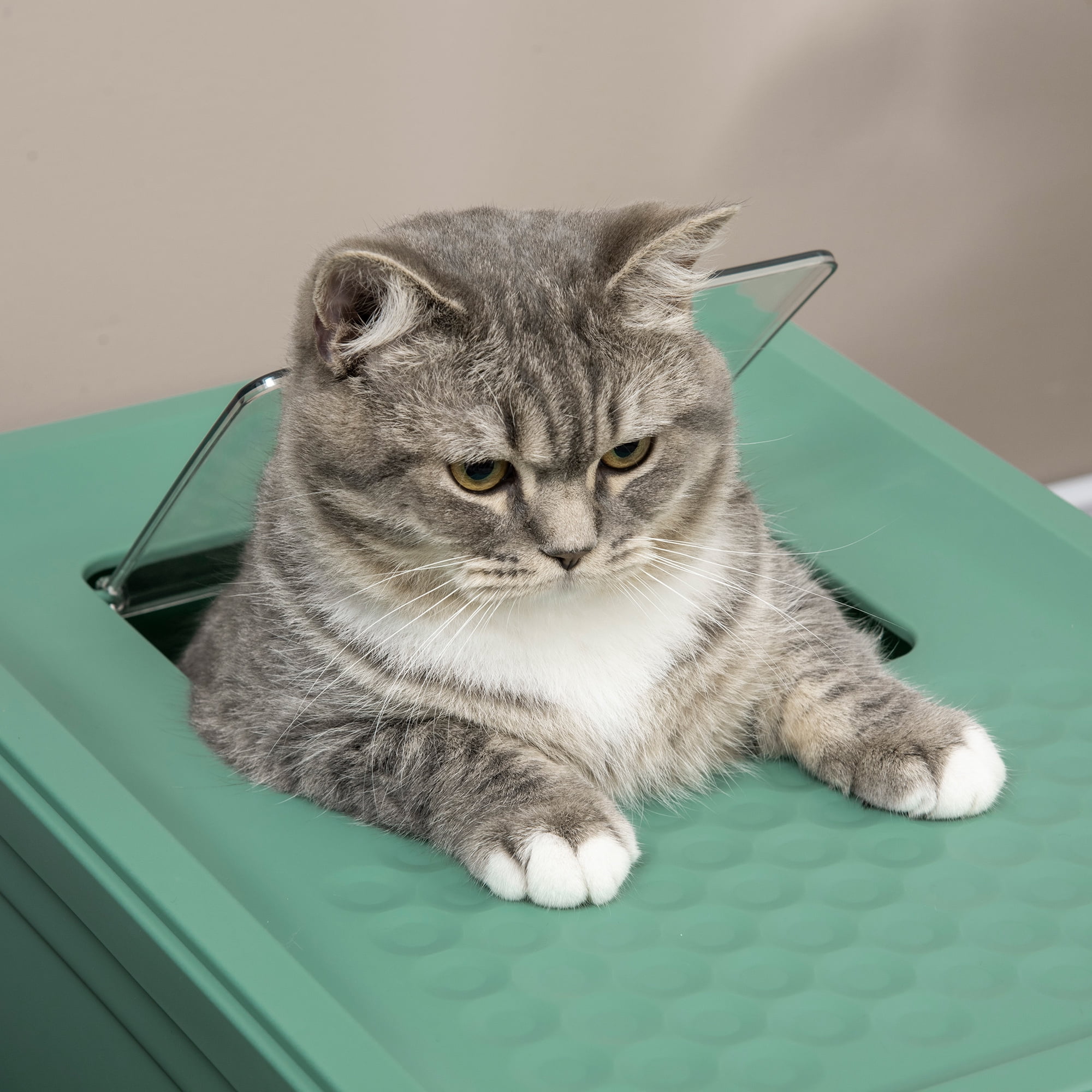 PawHut Fully Enclosed Cat Litter Box with Front Entry, Top Exit, Green