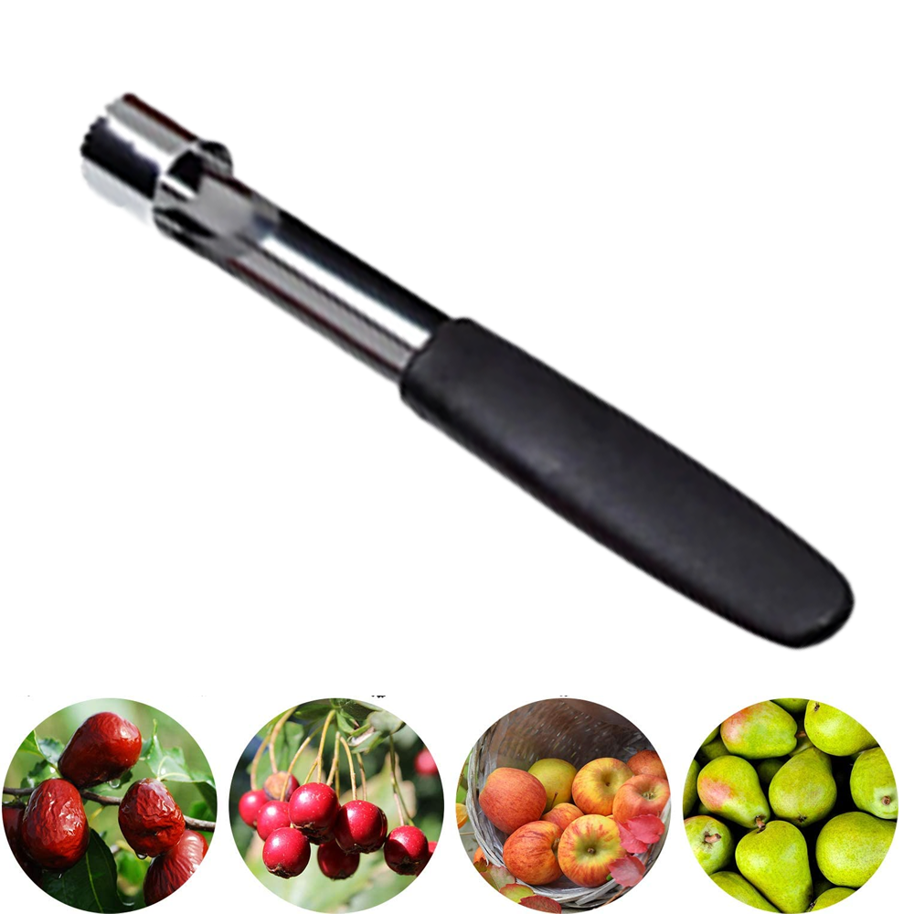 Apple Corer, 1 Pack Stainless Steel Apple Corer Remover Tools, Black