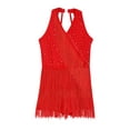 thumbnail image 3 of Doomiva Kids Girls Latin Dance Fringe Dress Rhinestones Tassel Skirted Leotard Sleeveless Tango Ballroom Outfit Red 6, 3 of 7