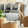 thumbnail image 5 of Ambesonne Cat Throw Pillow Cover 2 Pack, Are You Poopin' Retro Funny, 24", Dark Blue Ivory, 5 of 7