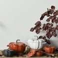 thumbnail image 6 of Staub Ceramic 24-oz Pumpkin Cocotte - Burnt Orange, 6 of 6