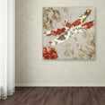 thumbnail image 4 of Trademark Fine Art "Winged Tapestry III" Canvas Art by Color Bakery, 4 of 4