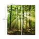 thumbnail image 3 of Cortina De Ventana De Bolsillo Con Barra De Apagón Con Aislamiento Térmico Para Sala De Estar, 55x39 Pulgadas, 2 Paneles / Juego, Impresión De Fotos E Bosque del sol Sunnimix Cortina de poliéster, 3 of 8