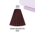 thumbnail image 3 of Kadus Permanent Hair Color, 3 of 8