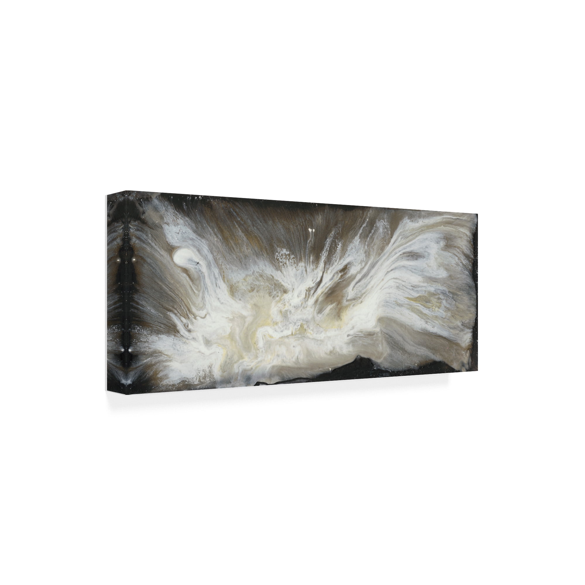 Trademark Fine Art 'Transmutation VI' Canvas Art by Lila Bramma
