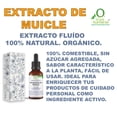 thumbnail image 2 of EXTRACTO DE MUICLE 60 ML VIVONATURAL. 100% NATURAL. ORGÁNICO, 2 of 3
