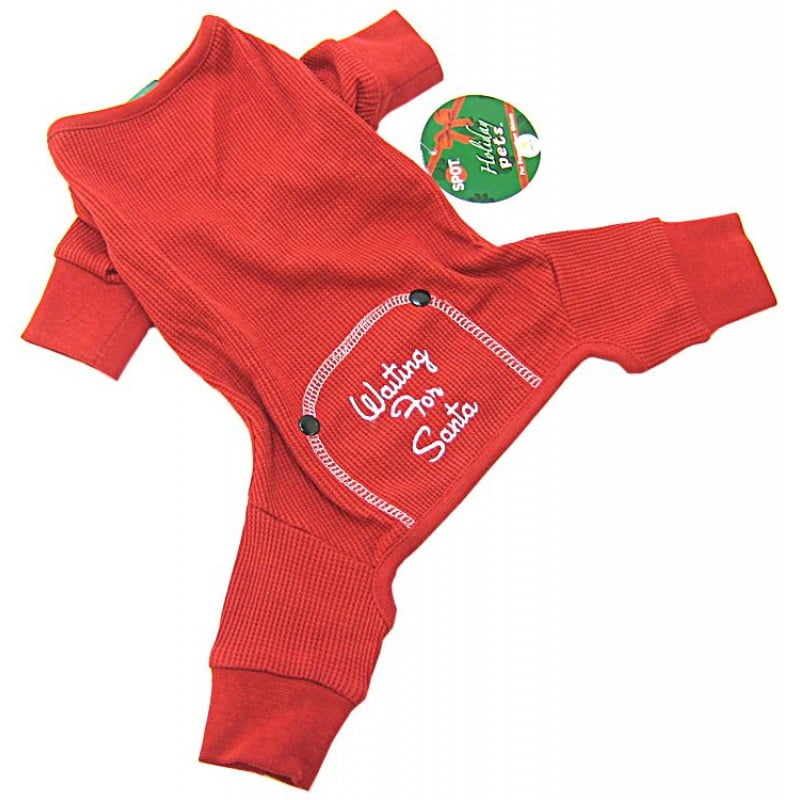 patterdale terrier puppies for sale near me