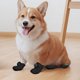 thumbnail image 2 of Zapatos De Verano Antideslizantes Y Transpirables Para Perros Pequeños Y Medianos (Francés/Teddy/Corgi/Caniche) Para Suelos De Madera, 2 of 4