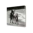 thumbnail image 3 of 21" Black and White Two Cuddling Mustangs Giclee Wrap Canvas Wall Art, 3 of 3