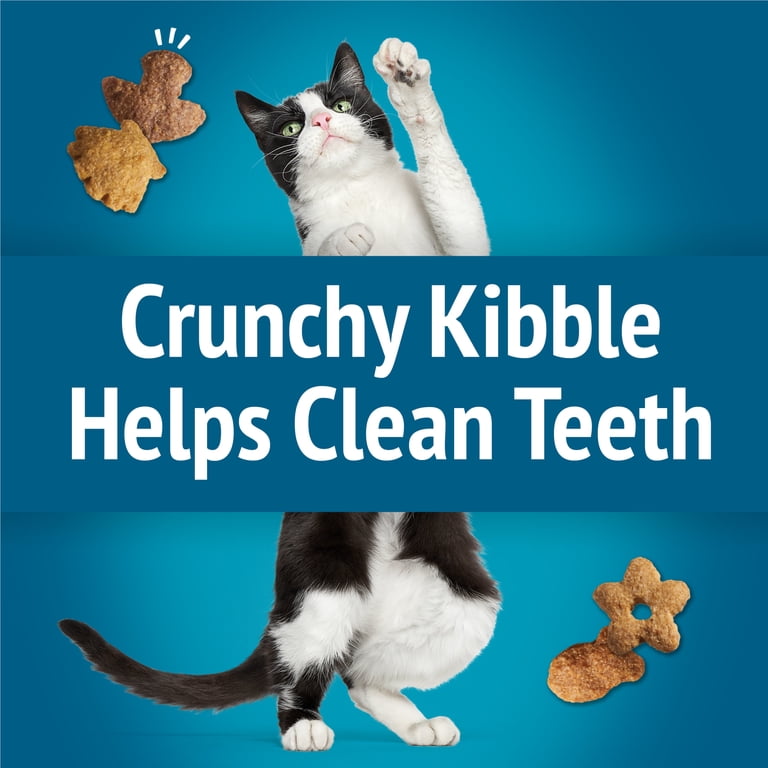 Friskies Party Mix Seafood Lovers Crunch Cat Treats, 6 oz (2 Pack) photo 5