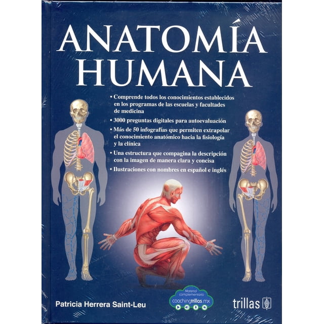anatomia humana editorial trillas sa de cv libro didáctico portada frontal con título 'ANATOMÍA HUMANA', ilustraciones anatómicas: figura central mostrando musculatura en rojo en posición sentada, esqueletos laterales con órganos señalados y viñetas de texto en español sobre contenidos; fondo azul oscuro y logo Trillas en la esquina.