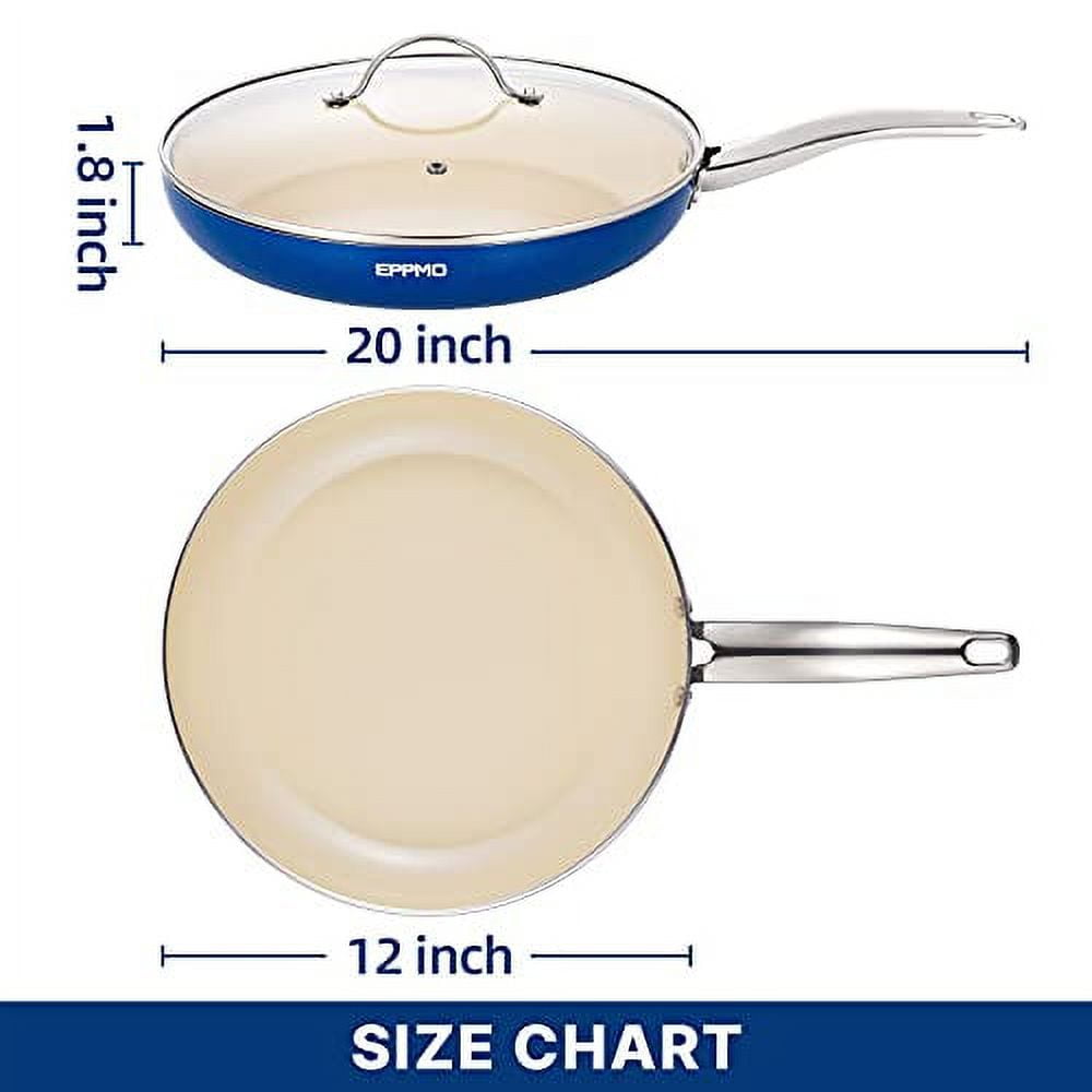 12 inch Frying Pan with Nonstick Coating & 9-inch Vacuum Handle Stainless  Steel