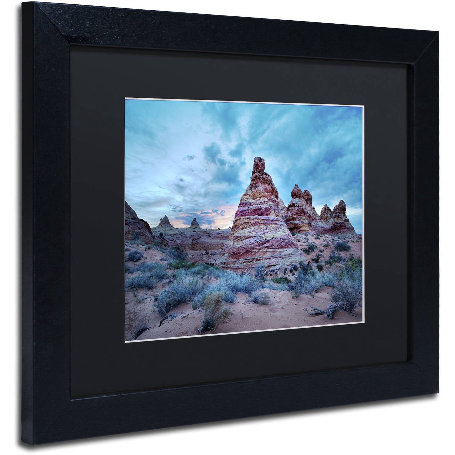 Trademark Fine Art "Cottonwood I" Canvas Art by Moises Levy Black Matte, Black Frame