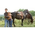 thumbnail image 4 of Heartland - Complete Season 6 (DVD) (Bilingual), 4 of 8