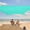 Turquoise, variant on WEKAPO Beach Tent Sun Shelter - Easy Setup Beach Canopy with 4 Sturdy Poles, Large Sandbags and Shovel, 7'1'' Tall, Windproof Beach Sun Shade for Backyard and Camping, UPF 50+ Protection