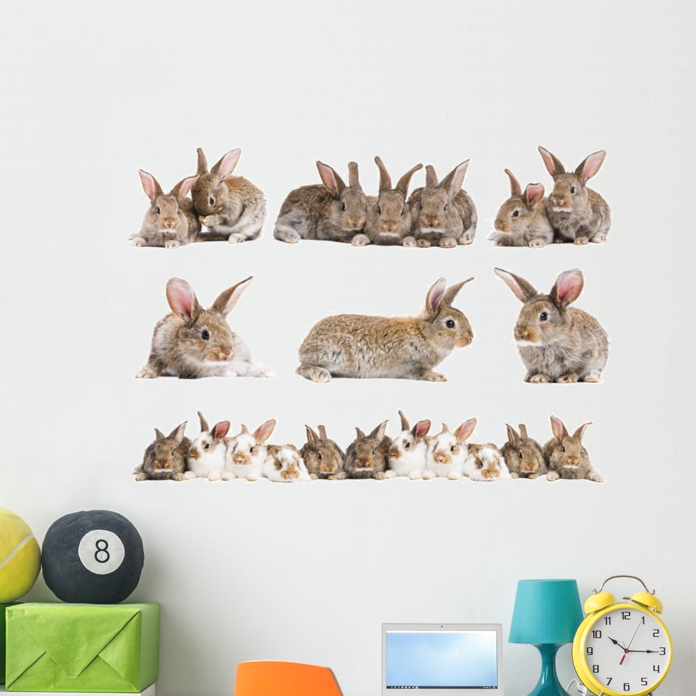 Set Brown Baby Rabbits Wall Decal by Wallmonkeys Peel and Stick Graphic ...