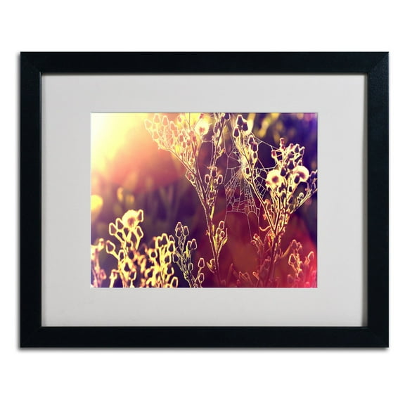 Trademark Fine Art "Painting Light" Framed Canvas Art by Beata Czyzowska Young