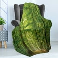 thumbnail image 4 of Woodland Soft Flannel Fleece Throw Blanket, Deciduous Forest Trees in Summertime Foliage Sun Rays Romantic Holidays Scenic Image, Cozy Plush for Indoor and Outdoor Use, 50" x 60", Green, by Ambesonne, 4 of 5