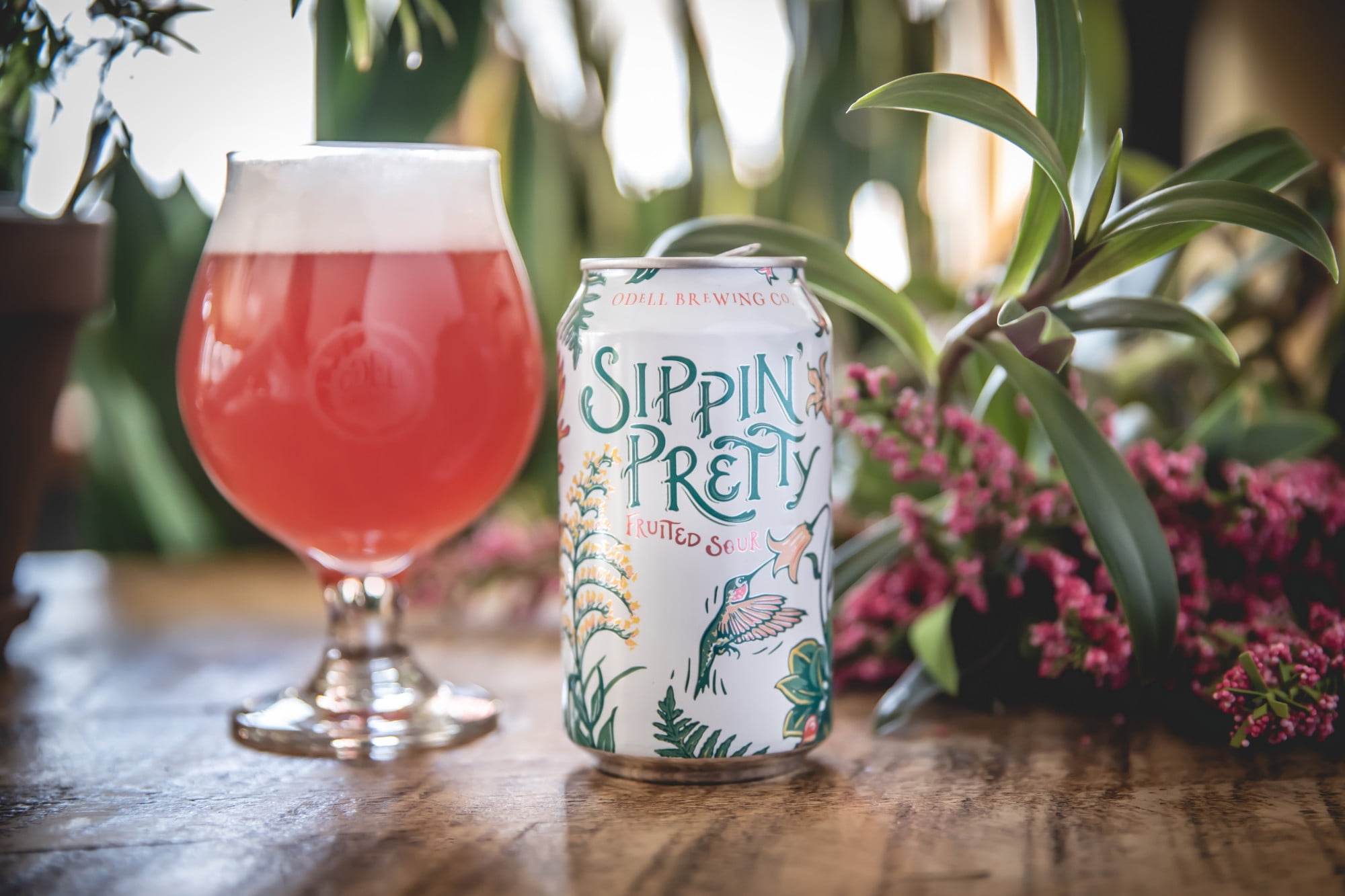 Odell Brewing Sippin' Pretty Fruited Sour Craft Beer, 12 fl oz, 12 Pack Aluminum Can, 4.5% ABV