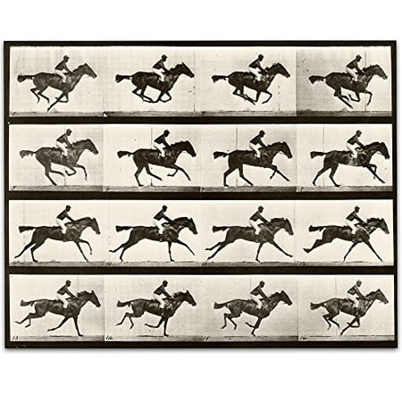 Lone Star Art 1887 Muybridge's Horse Galloping Vintage Print - 11x14 Unframed Print - Perfect Stable or Farm (Star Stable Best Horse)