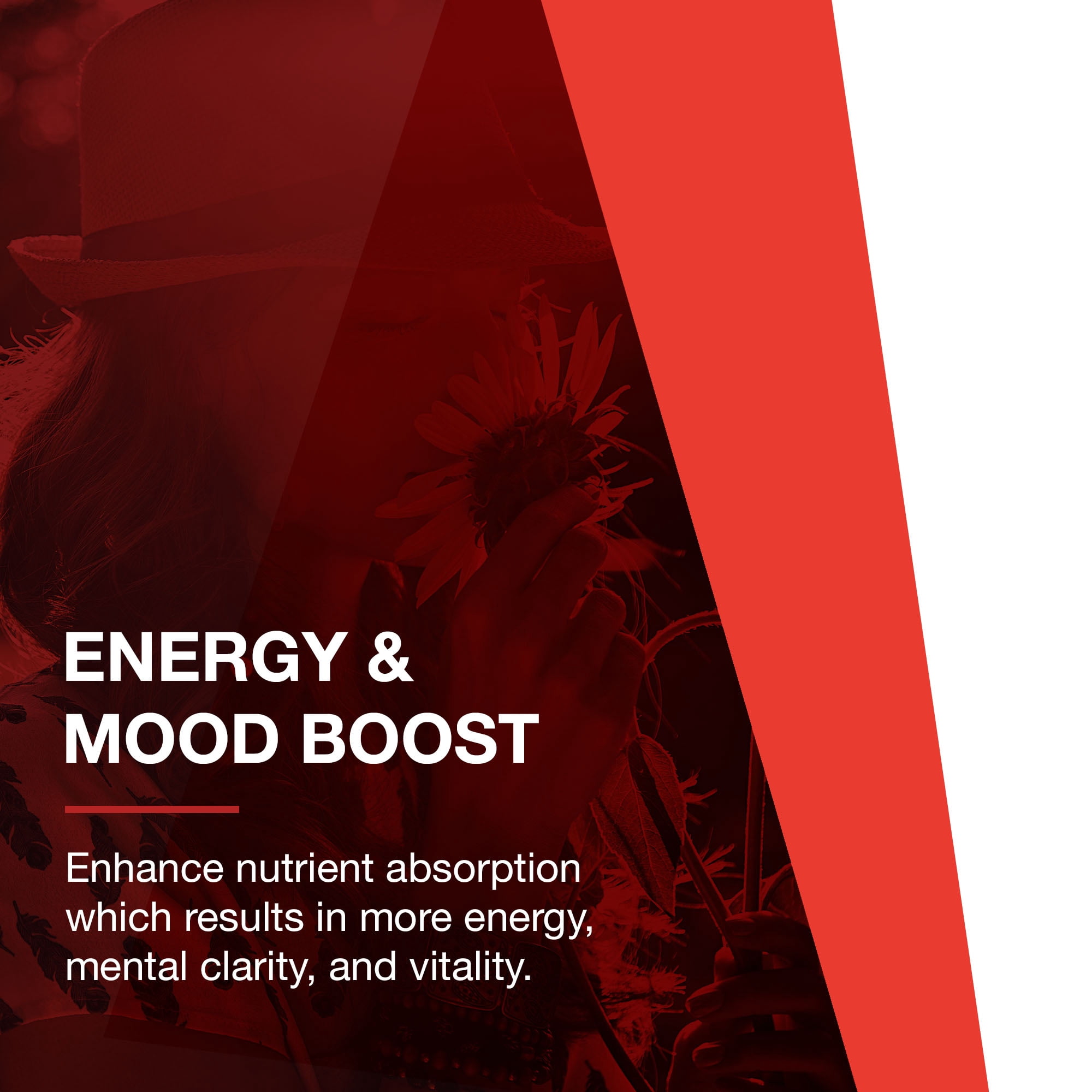 Protocol BioCore Enhanced Enzymes - Digestive Enzymes - 90 Veg Caps