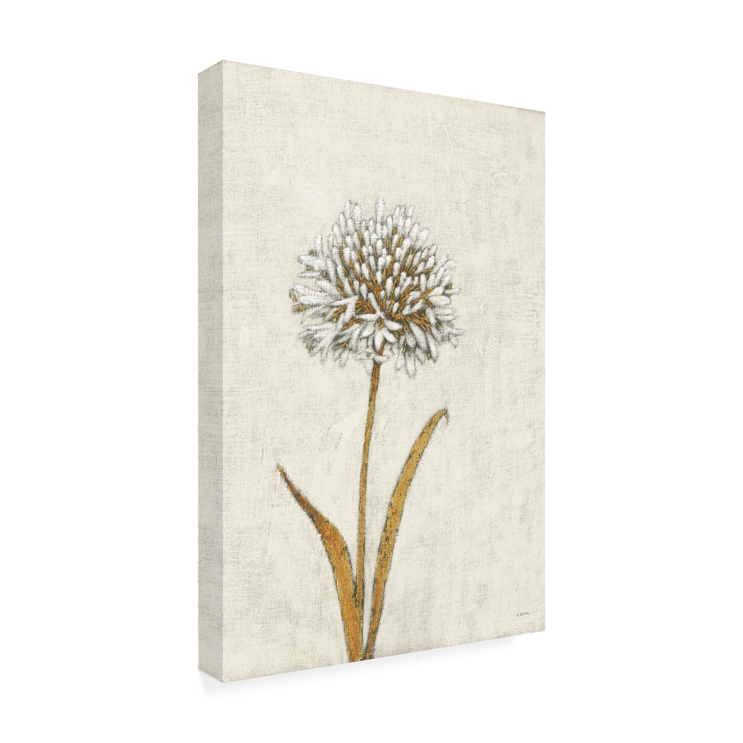 James Wiens 'Shimmering Summer I Ivory' Canvas Art