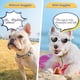 thumbnail image 5 of Gafas de sol para perros Gafas pequeñas Correa ajustable Protección UV Gafas de sol antivaho con forma de corazón para perros Gafas de sol para perros, 5 of 6