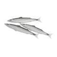 thumbnail image 1 of Funny Salted Fish Styling Ballpoint Pen Ocean Series Ballpoint Pen Fish Styling Pen, 1 of 6