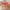 Red, variant on yulier Square Elastic Fitted Table Cover Waterproof Polyester Tablecloth Stretch Table Cloth Solid Color Table Cover for Dining Kitchen Home Party, 34 x 34 Inch, Pink