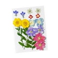 thumbnail image 4 of Flores prensadas secas, juego de flores de prensado en seco, hermosa artesanía, fabricación de velas, Material de fabricación DIY para pantallas de , amarillo rosa violet amarillo violeta rosa Soledad flores secas prensadas, 4 of 10