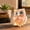 D, variant on Tuscom Resin Owl Mini Ornament, Crystal Gravel Craft Figurine for Home and Car Decor, Cute Desk Statue, Collectible Gift Souvenir for Owl Lovers, Shelf Sitter Car Charm