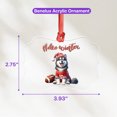 thumbnail image 4 of Hello Winter Alaskan Malamute Football Snowman Welcome Snowy Morning Acrylic Benelux Ornament Alaska Mal Dog Lovers Gifts Home Tree Decor - 01012, 4 of 4