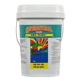 thumbnail image 2 of Supernatural Gro Terra, 2 of 2