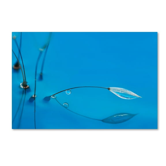 Trademark Fine Art 'Blue Water' Canvas Art by Heidi Westum