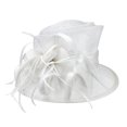 thumbnail image 1 of Sombrero de plumas de ala de mujer ChicHeadwear SINAMAY Blanco Sombrero para el sol, 1 of 1