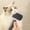 Gray Home Decor, variant on Limited Time Deal karymi Dog Brush, Cats Brush, Dog Brush for Shedding, Self Cleaning Pet Brush for Grooming Long Short Haired Dog Cats, Cats Brushes for Indoor Cats Cleaning Supplies