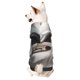 thumbnail image 1 of Balery Smiling Polar Bear Sudadera con Capucha para Perros Pequeños – Ropa para Mascotas, Disfraz para Perros y Gatos, Ideal para Fiestas y Cosplay-Medium, 1 of 7