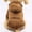 Orange, variant on GRNSHTS Puppy Pet Hooded Sweatshirt Autumn Winter Two-legged Pocket Cat Dog Clothes