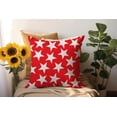 thumbnail image 5 of 4th of July Pillow Covers 18x18 Inch Set of 2, Independence Day Decorations Red Stars Throw Pillows Soft Velvet Farmhouse Holiday Patriotic Cushion Case for Couch Sofa Outdoor Decor, 5 of 6