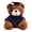 C, variant on Soft Plush Doctor Bear 23cm Graduation Bear Gift for Graduation and Educators Cherishes Special Moment