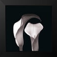 thumbnail image 2 of Faragher, Michael 15x15 Black Modern Framed Museum Art Print Titled - Lilies, 2 of 5