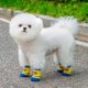 thumbnail image 5 of Calcetines Para Perros Ropa Para Mascotas Botines Antideslizantes Y Resistentes A Los Arañazos Para Cachorros Con Juguetes 3D Para Perros Pequeños Y Medianos Uso En Interiores Y Exteriores, 5 of 5
