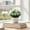 White, variant on Clearance Artificial flowers under $1,Artificial Potted Plants Plastic Greenery In Pots Small Topiary Shrubs For Centerpiece Desk Room House Decor Decoration