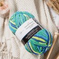 thumbnail image 2 of MAINSTAYS 2 pack aquarium polyester yarn, 2 of 3