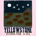 thumbnail image 3 of CafePress - Yellowstone Park Night Sky Kids Light T Shirt - Light T-Shirt Kids XS-XL, 3 of 4