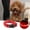RD, variant on EGNMCR Dog Toys, Pet Toy Dog Collar USB Rechargeable Bright & High Visibility Lighted Collar For Pet Night Walking In 3 Colors Glow Collar