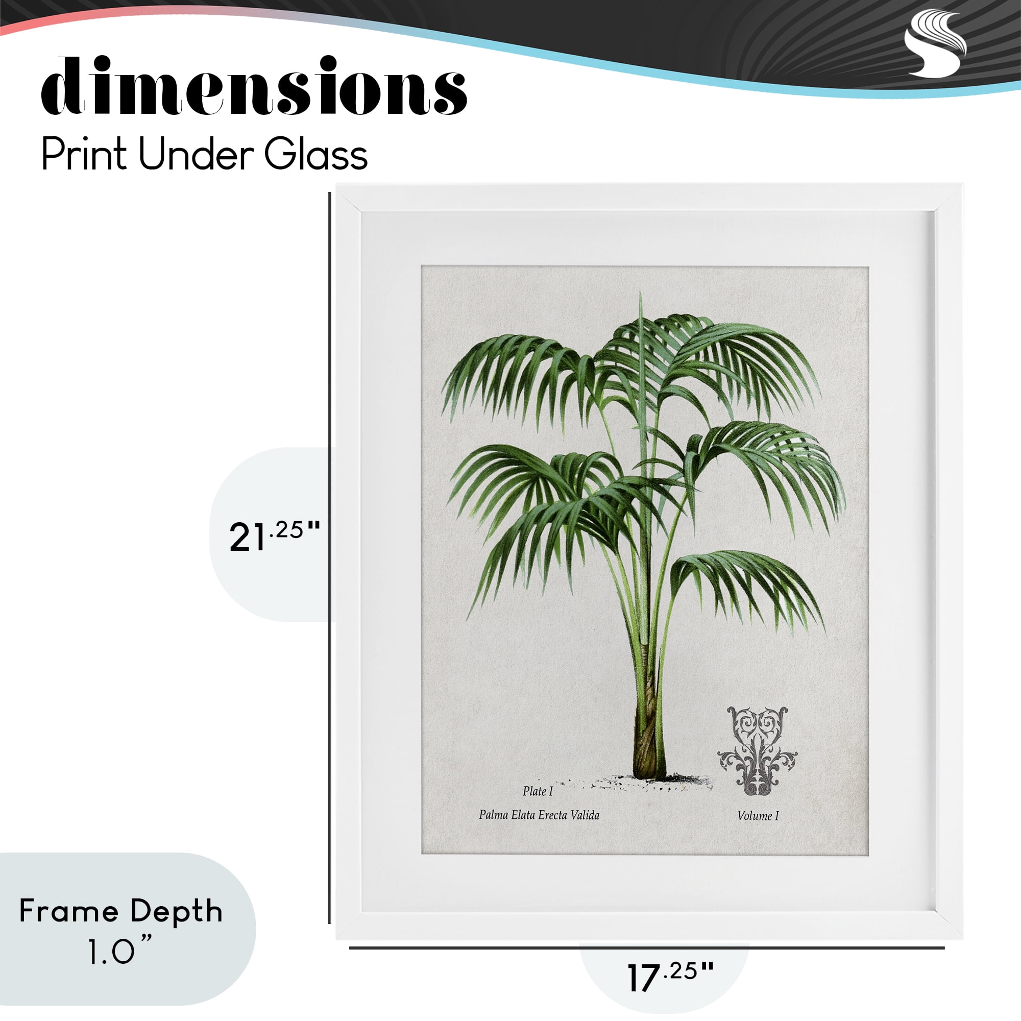 Stupell Industries Natural Palm Study White Framed Print Under Glass, design by Val Rhodes