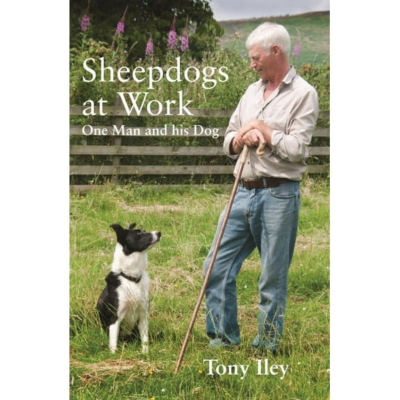 Sheepdogs at Work: One Man and His Dogs (Paperback)